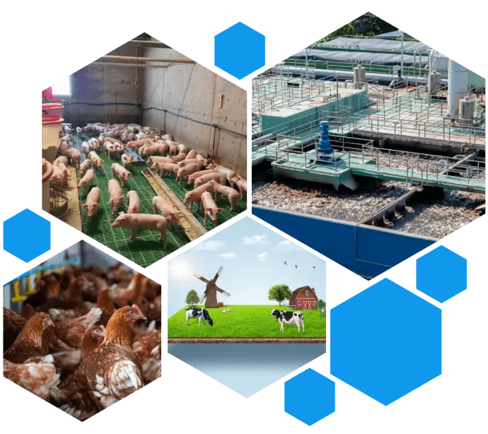 Giải Pháp Bền Vững Cho Môi Trường Nông Nghiệp